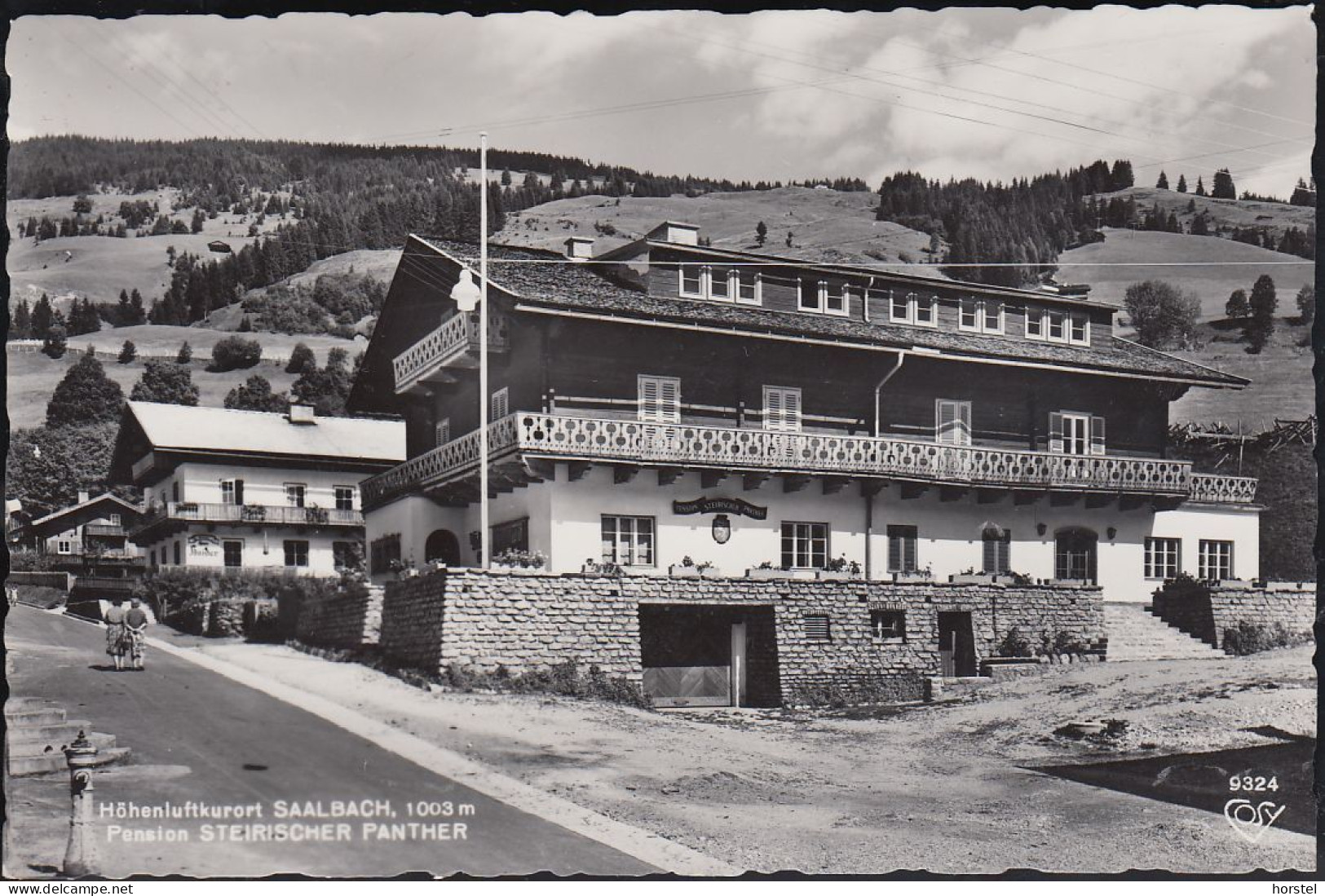 Austria - 5753 Saalbach - Pension Steirischer Panther An Der Straße - Saalbach