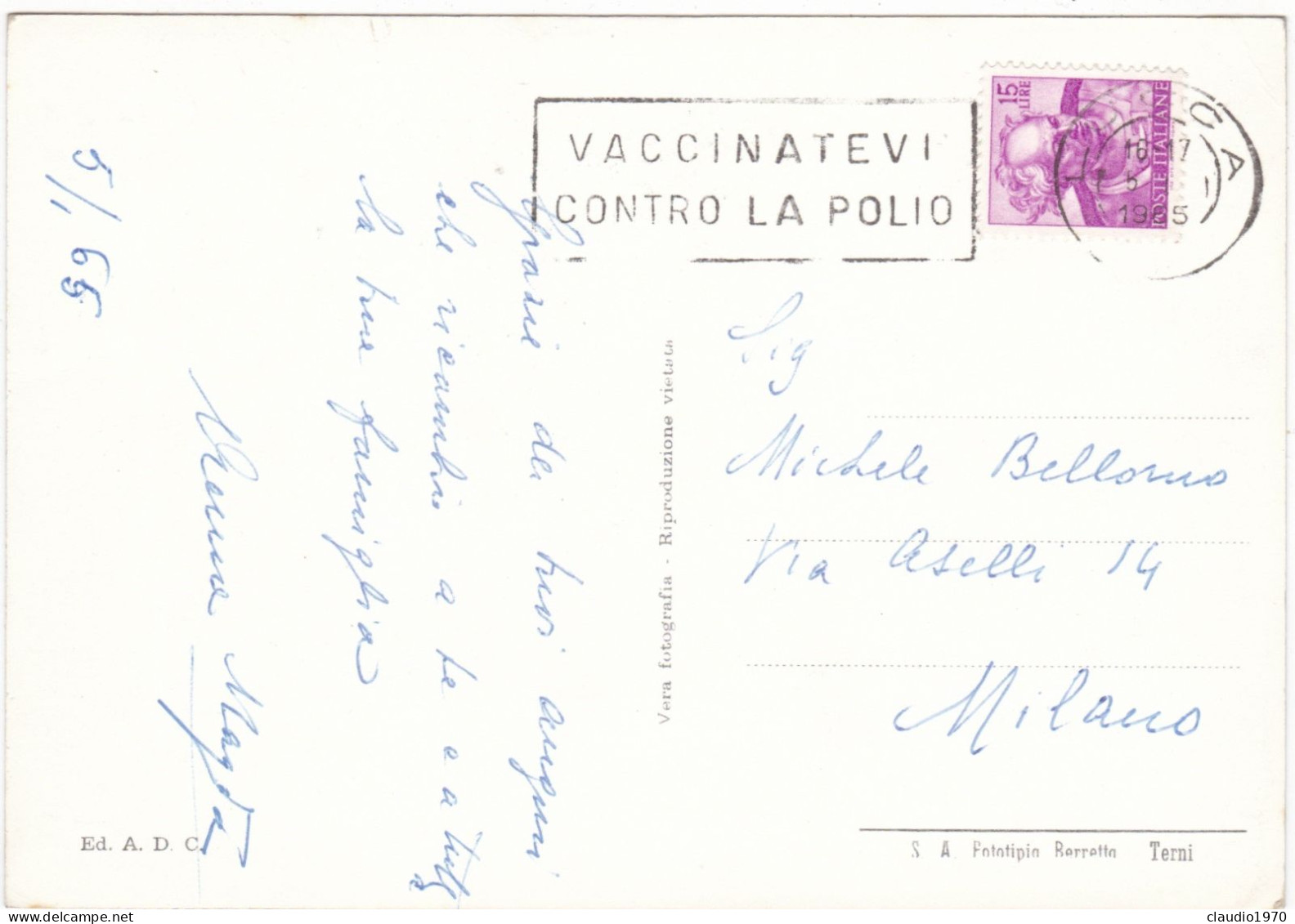 LUCCA - CARTOLINA - LE MURA - VIAGGIATA PER MILANO - 1965 - Lucca