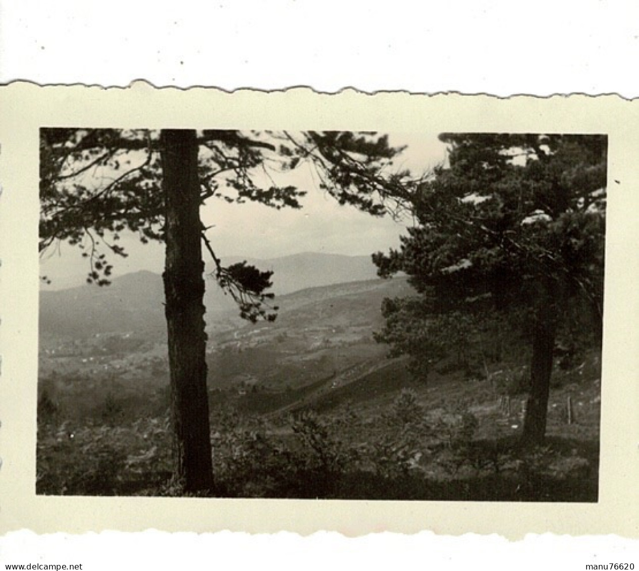 Ref 1 - Photo :  Panorama Du Col Du Wettstein ,  Alsace  - France . - Europa