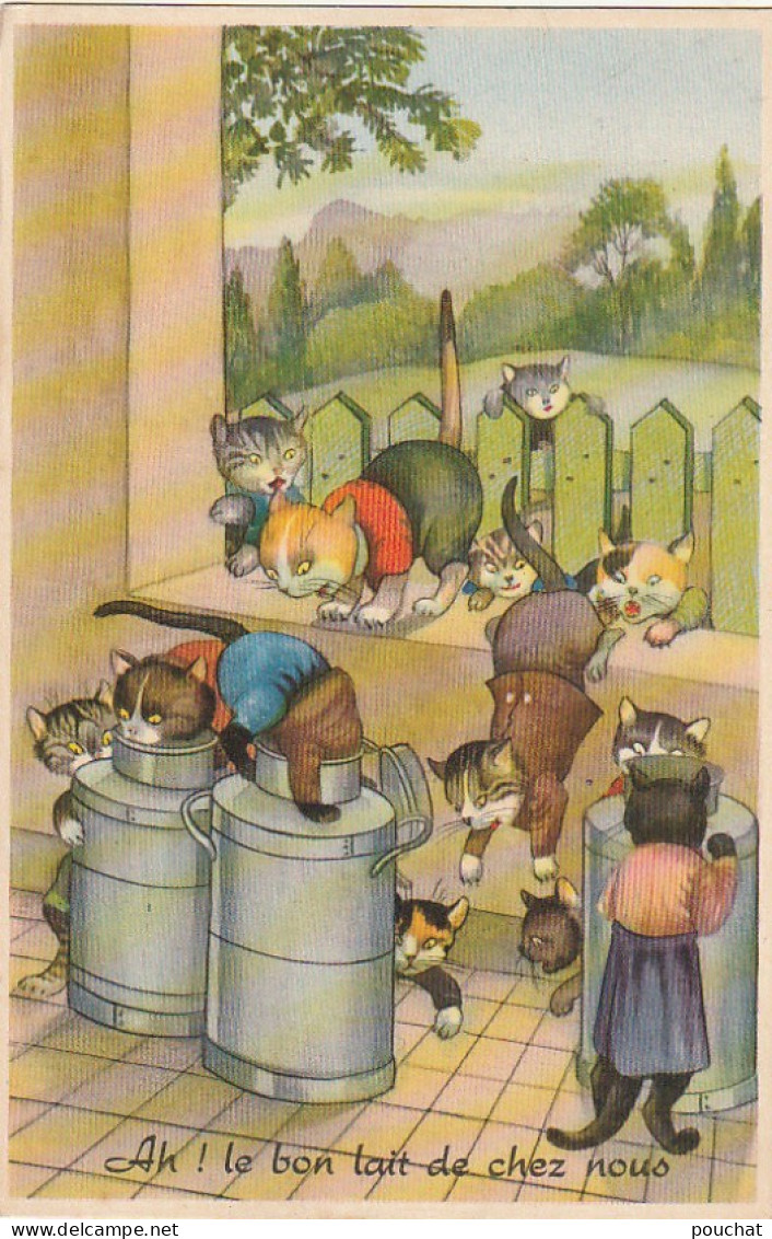 QU 9- " AH ! LE BON LAIT DE CHEZ NOUS  " - CHATS HUMANISES S' ABREUVANT DANS DES BIDONS DE LAIT - 2 SCANS - Dressed Animals