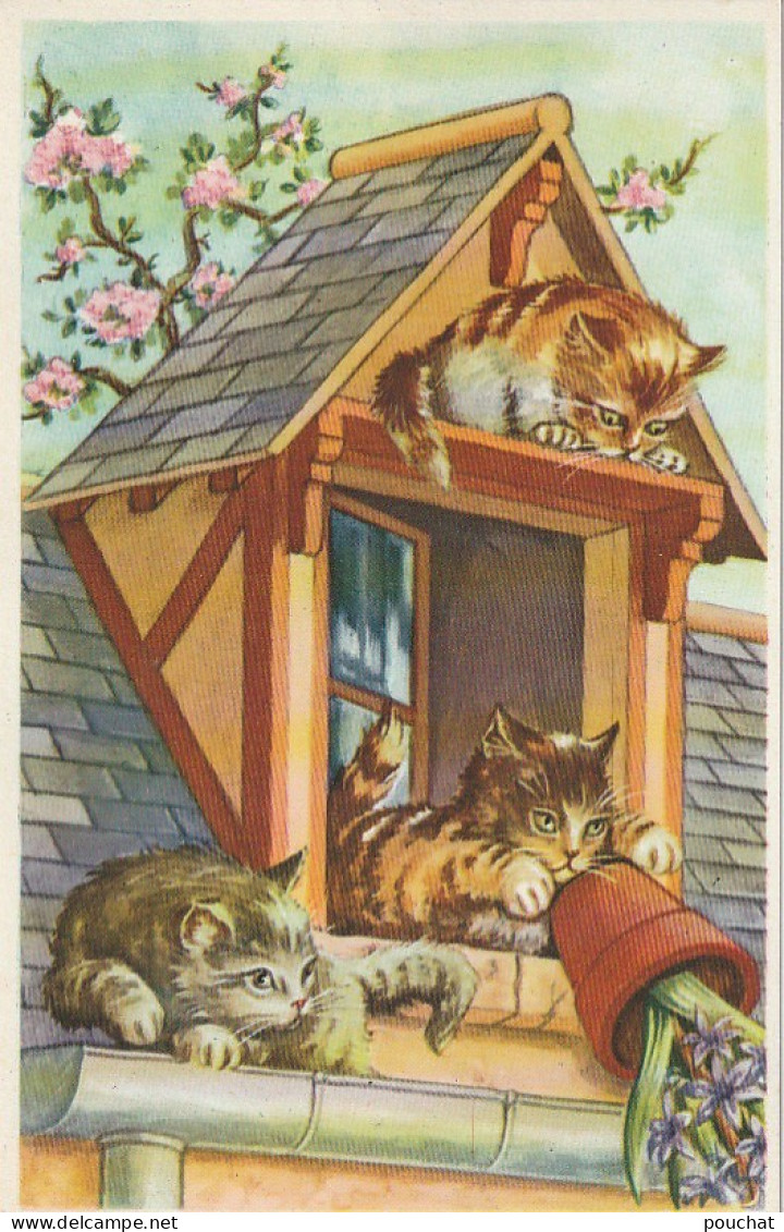 QU 9- FRATRIE DE CHATS INSTALLES SUR LA TOITURE ET RENVERSANT UN POT DE JACINTHES - 2 SCANS - Chats