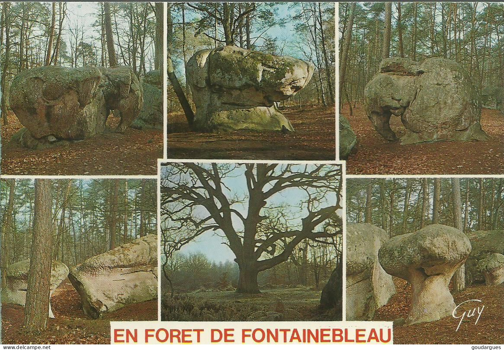 En Forêt De Fontainebleau - Multivues  - (P) - Fontainebleau