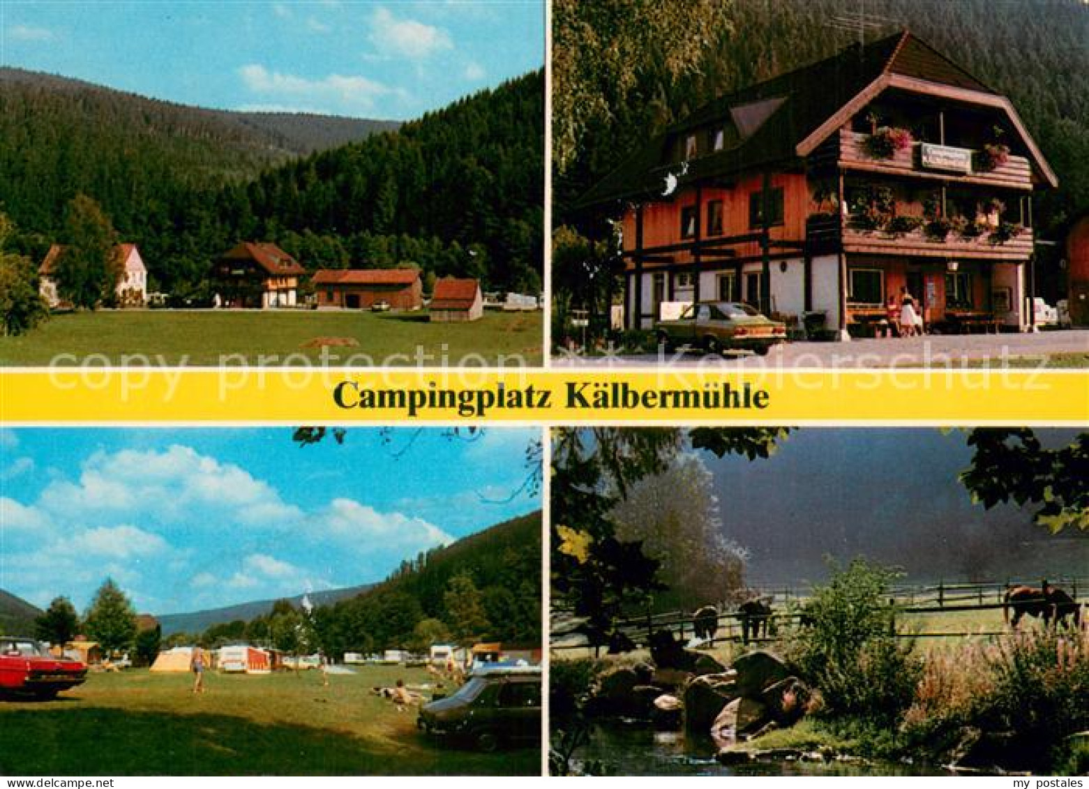 73723883 Bad Wildbad Campingplatz Kaelbermuehle Gasthof Pension Zum Anker Pferde - Other & Unclassified