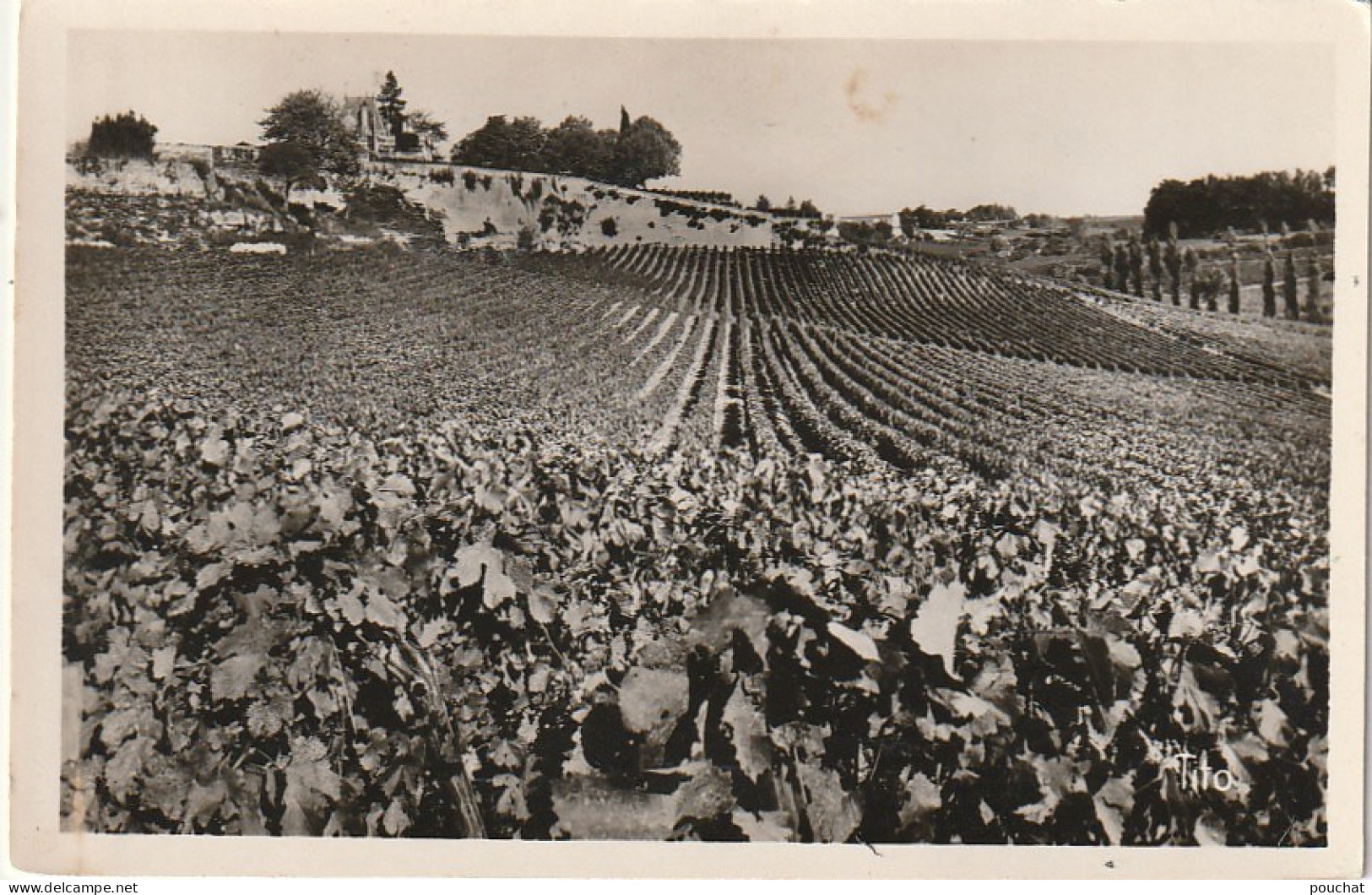 QU 24-(33) SAINT EMILION - CHATEAU AUSONE - LE VIGNOBLE - 2 SCANS - Saint-Emilion