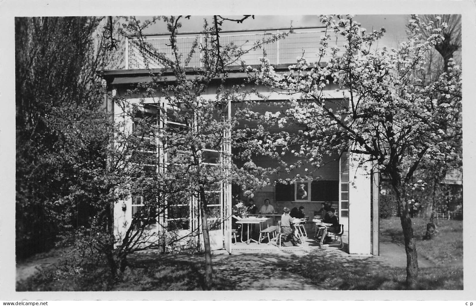 Suresnes  - Ecole De Plein Air - Une Classe Au Printemps   -  CPSM °J - Suresnes