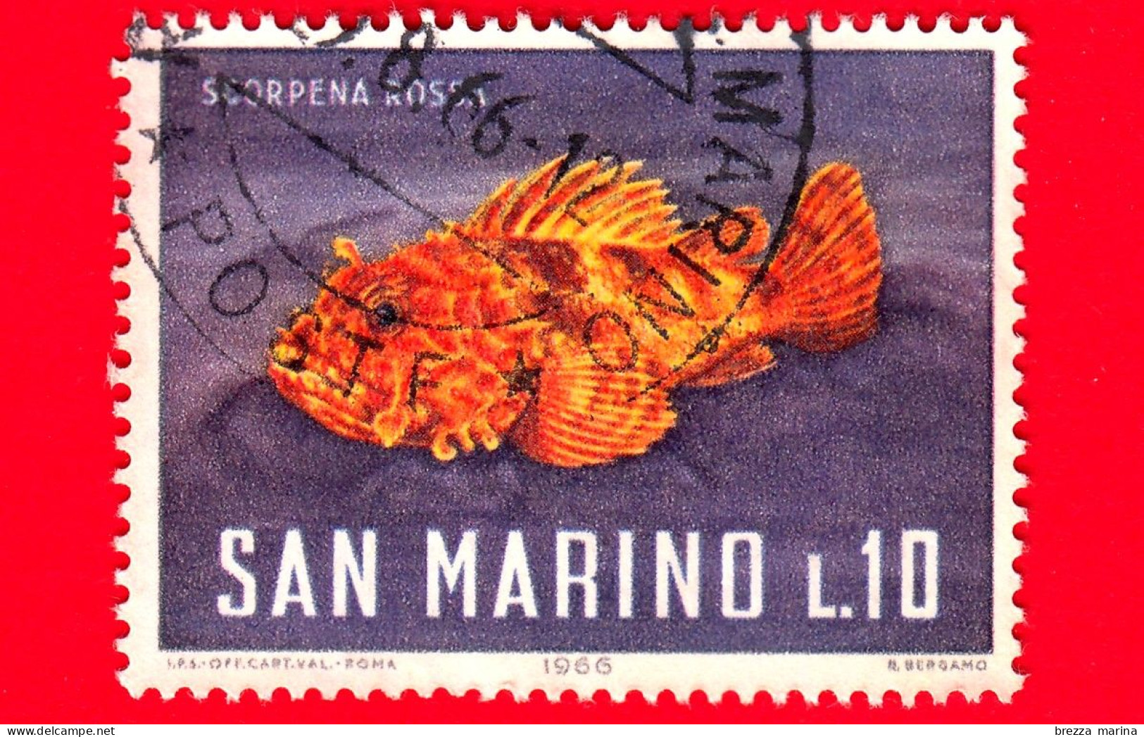 SAN MARINO - Usato - 1966 - Fauna Marina - Pesci - Scorpena Rossa - 10 L. - Oblitérés