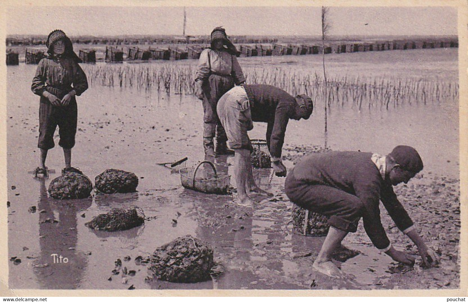 QU 26 -(33) BASSIN D' ARCACHON - LA PECHE AUX HUITRES - 2 SCANS - Arcachon