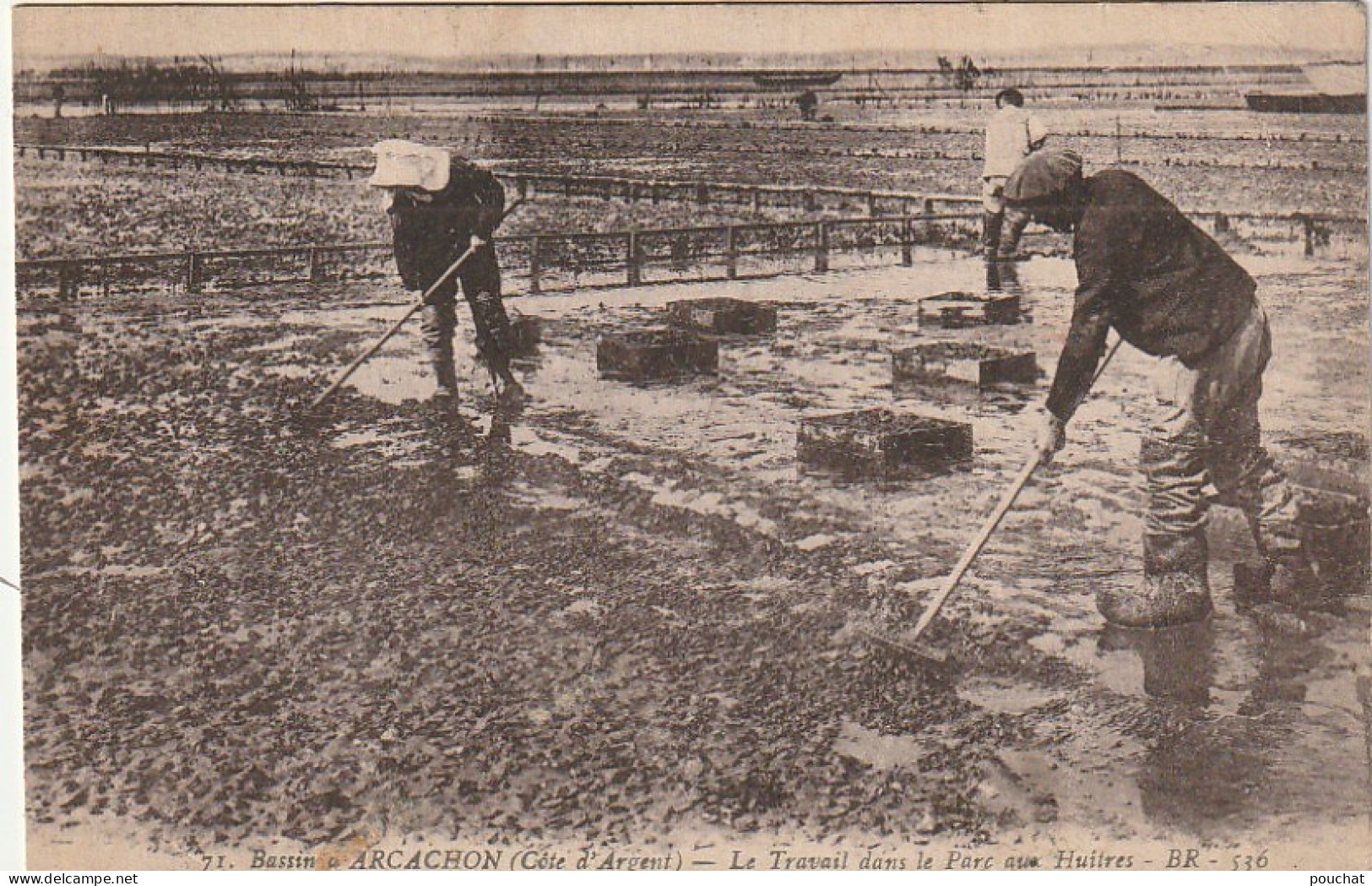 QU 26 -(33) ARCACHON - LE TRAVAIL DANS LE PARC AUX HUITRES -  2 SCANS - Arcachon