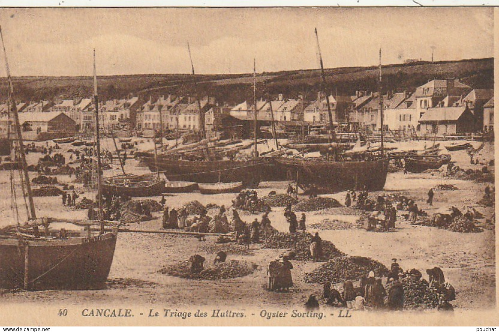 RE 3-(35) CANCALE - LE TRIAGE DES HUITRES  - 2 SCANS - Cancale