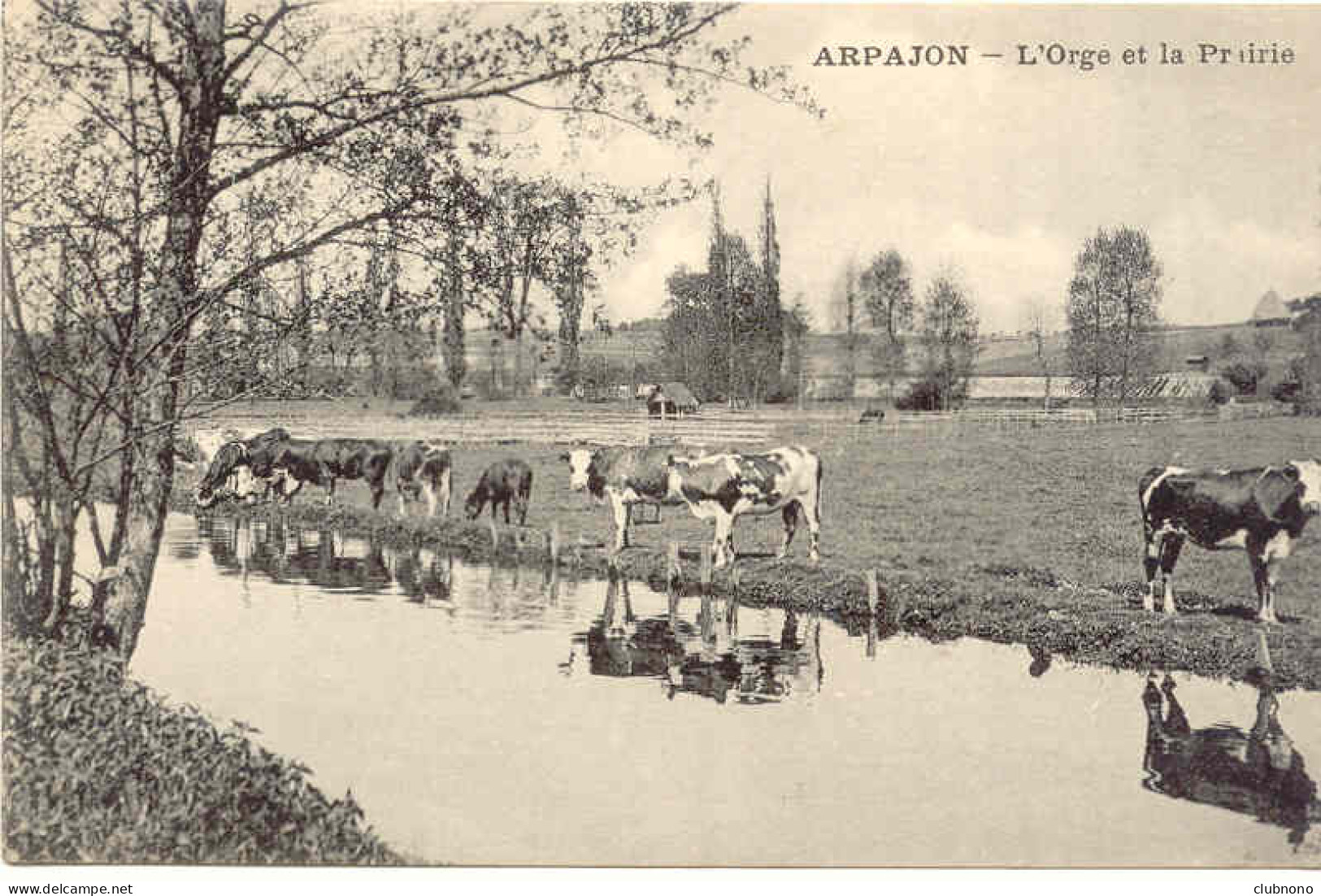 CPA -ARPAJON - L'ORGE ET LA PRAIRIE (ETAT PARFAIT) - Arpajon