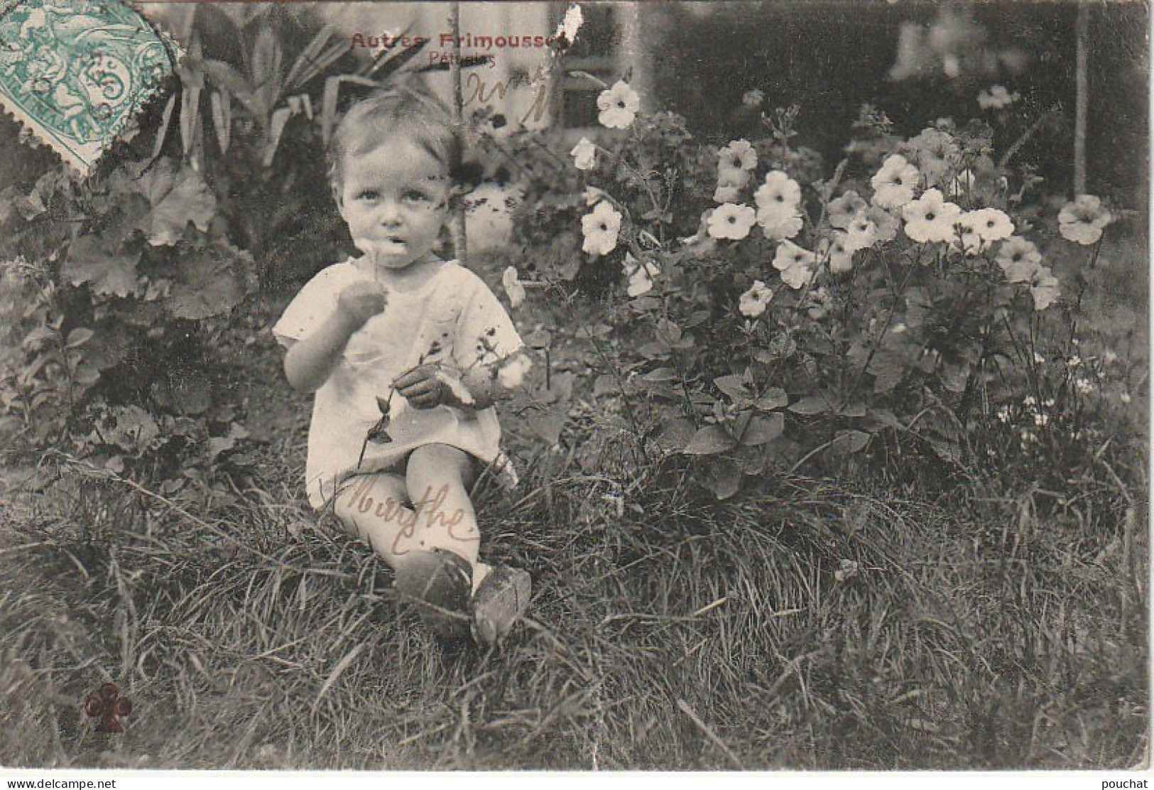 RE 14- AUTRES FRIMOUSSES - PETUNIAS - PORTRAIT DE BEBE AU MILIEU D' UN MASSIF DE FLEURS - 2 SCANS - Abbildungen