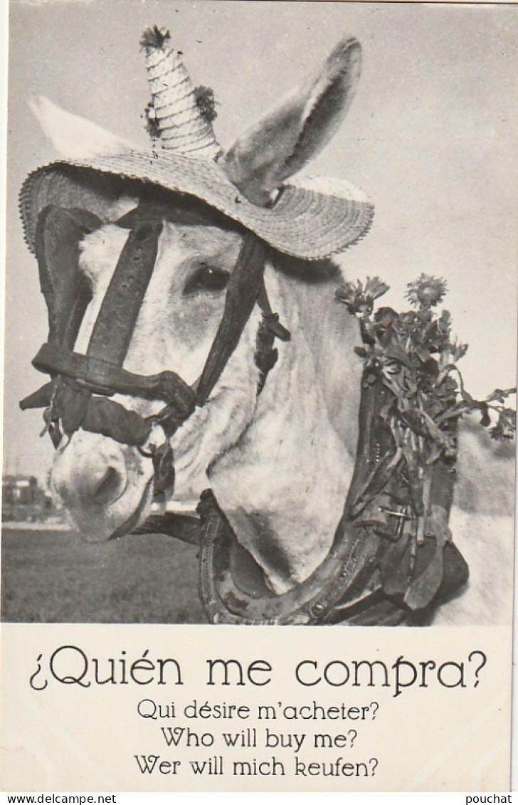 RE 19- " QUIEN ME COMPRA ? " - QUI DESIRE M' ACHETER ? - ANE AVEC CHAPEAU DE PAILLE , LICOL - 2 SCANS - Burros