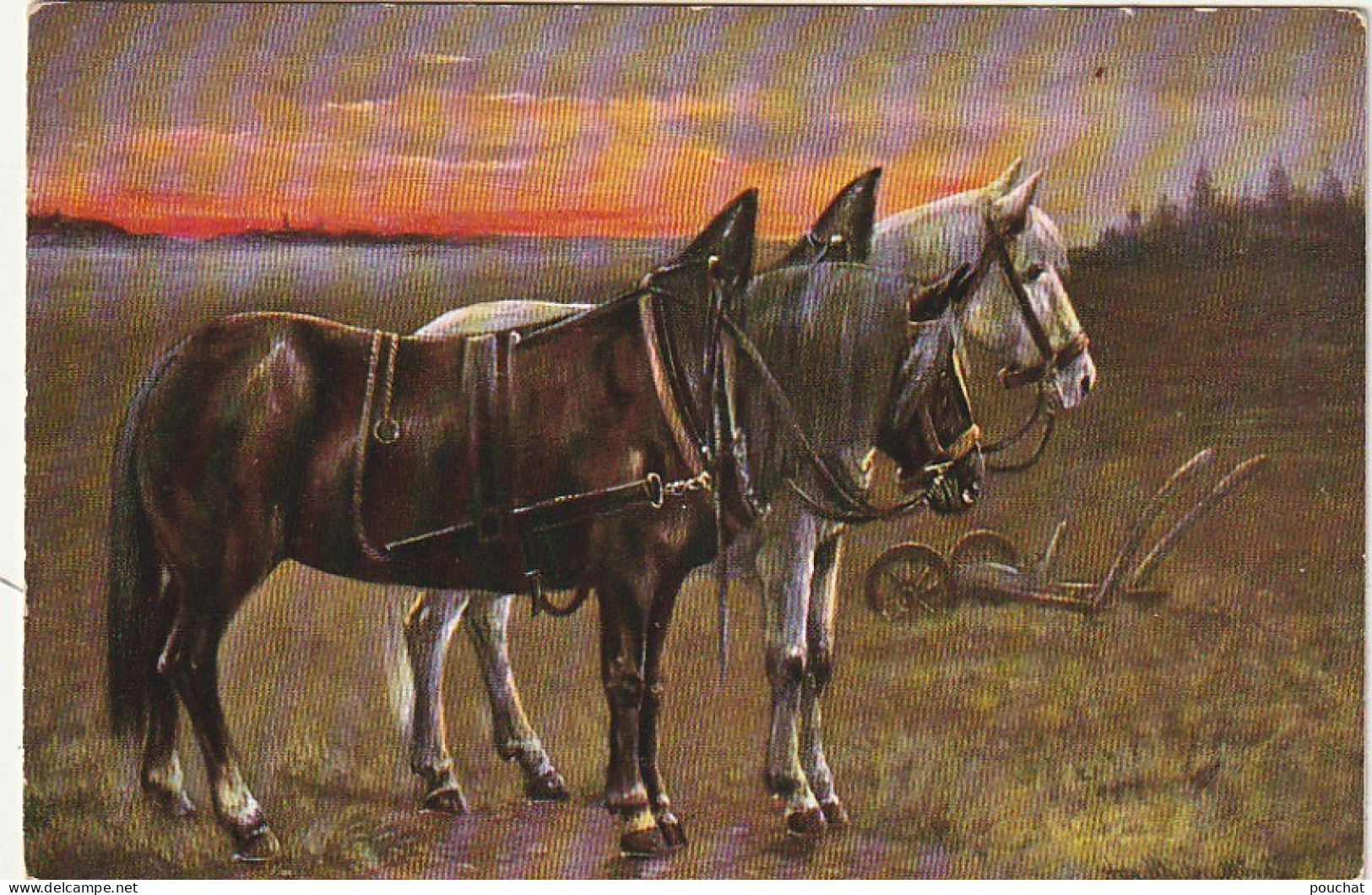 RE 19- ATTELAGE DE CHEVAUX AU CREPUSCULE  DANS LE PRE - ILLUSTRATEUR MULLER - 2 SCANS - Horses