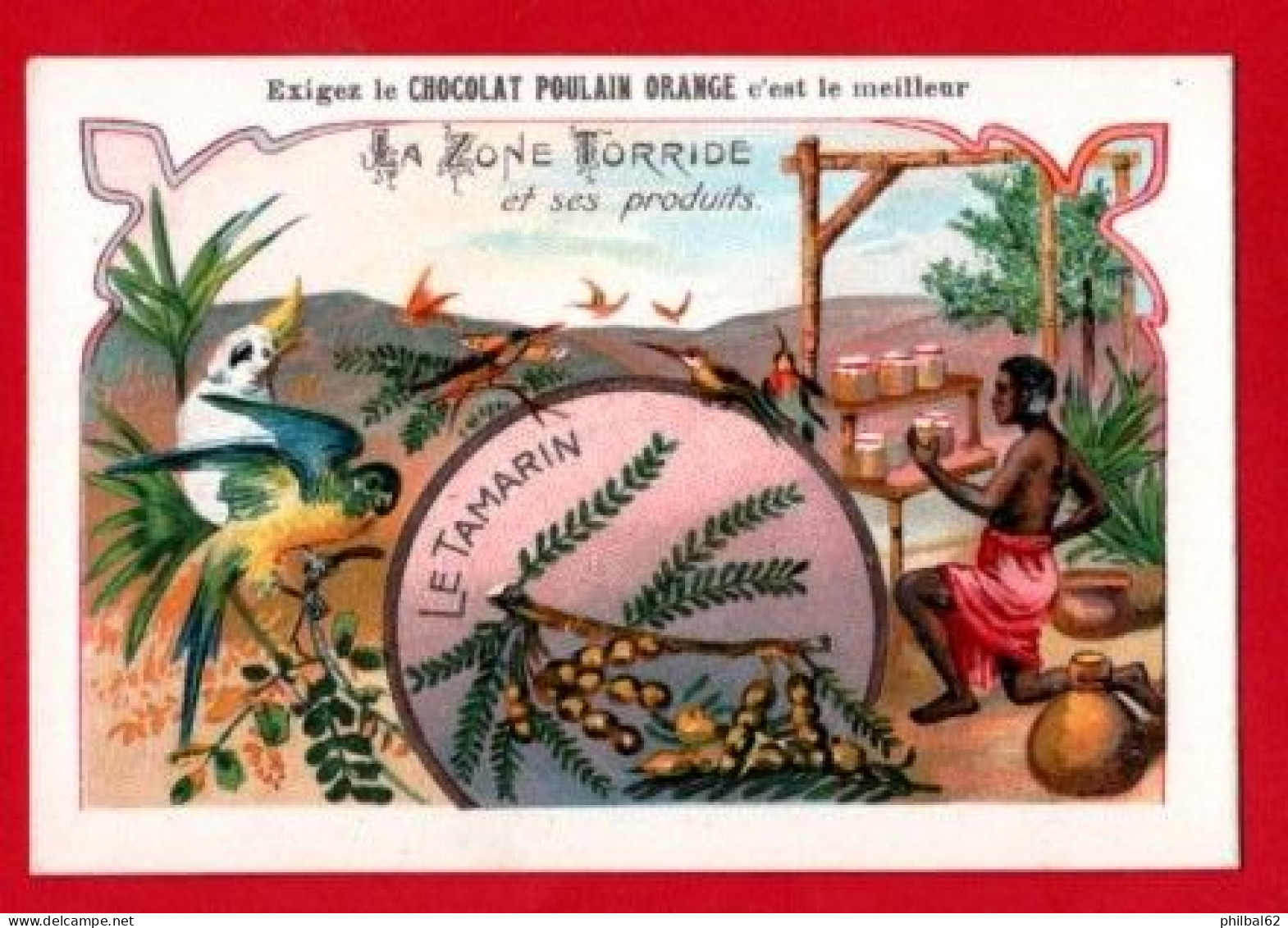 Chromo Chocolat Poulain Orange. Produits De La Zone Torride : La Tamarin. - Poulain