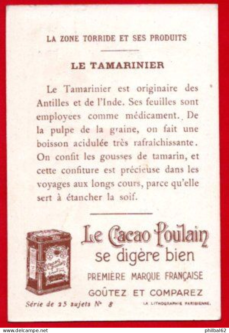 Chromo Chocolat Poulain Orange. Produits De La Zone Torride : La Tamarin. - Poulain