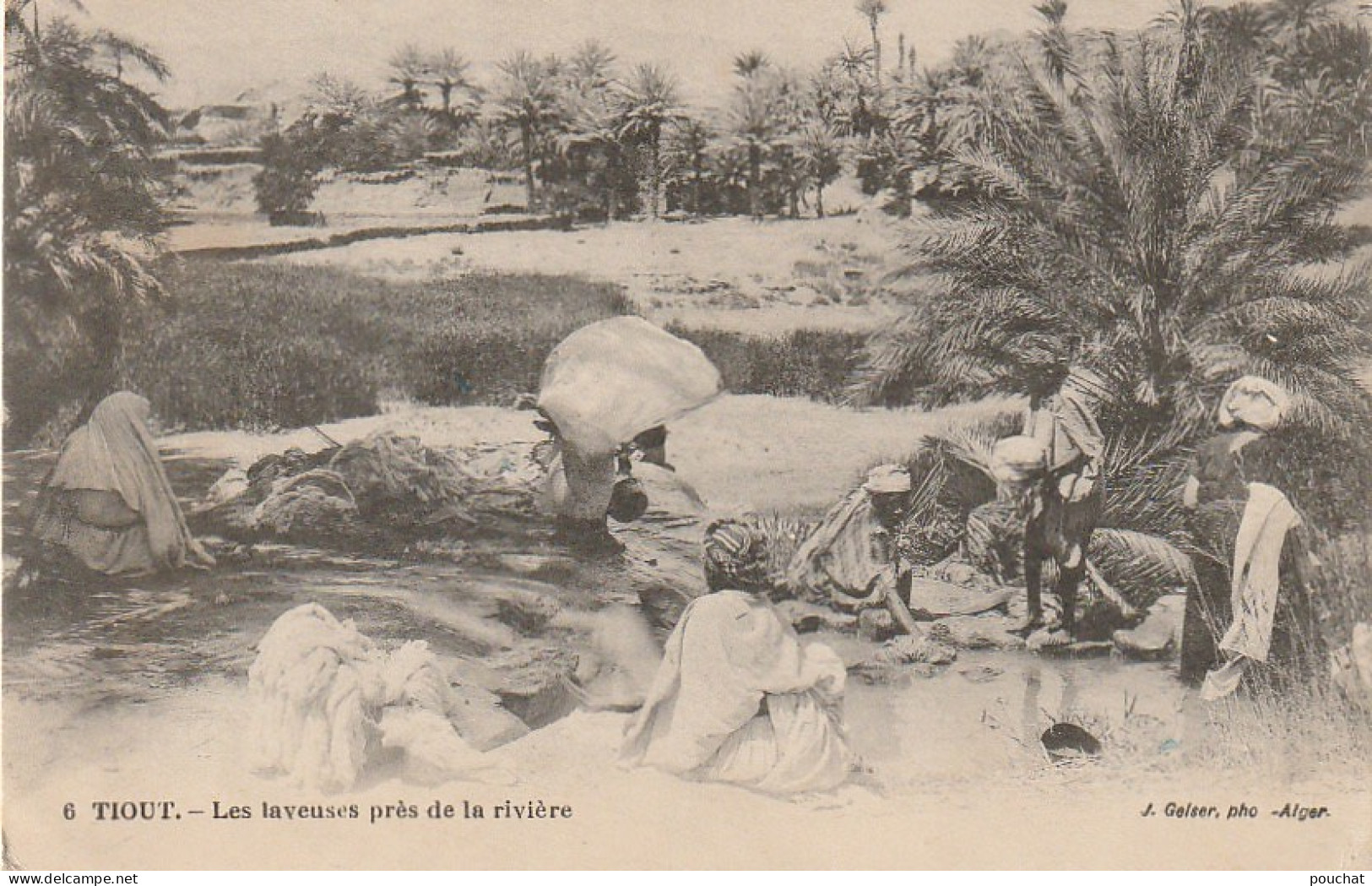 RE 23- (ALGERIE) TIOUT - LES LAVEUSES PRES DE LA RIVIERE - 2 SCANS - Sonstige & Ohne Zuordnung