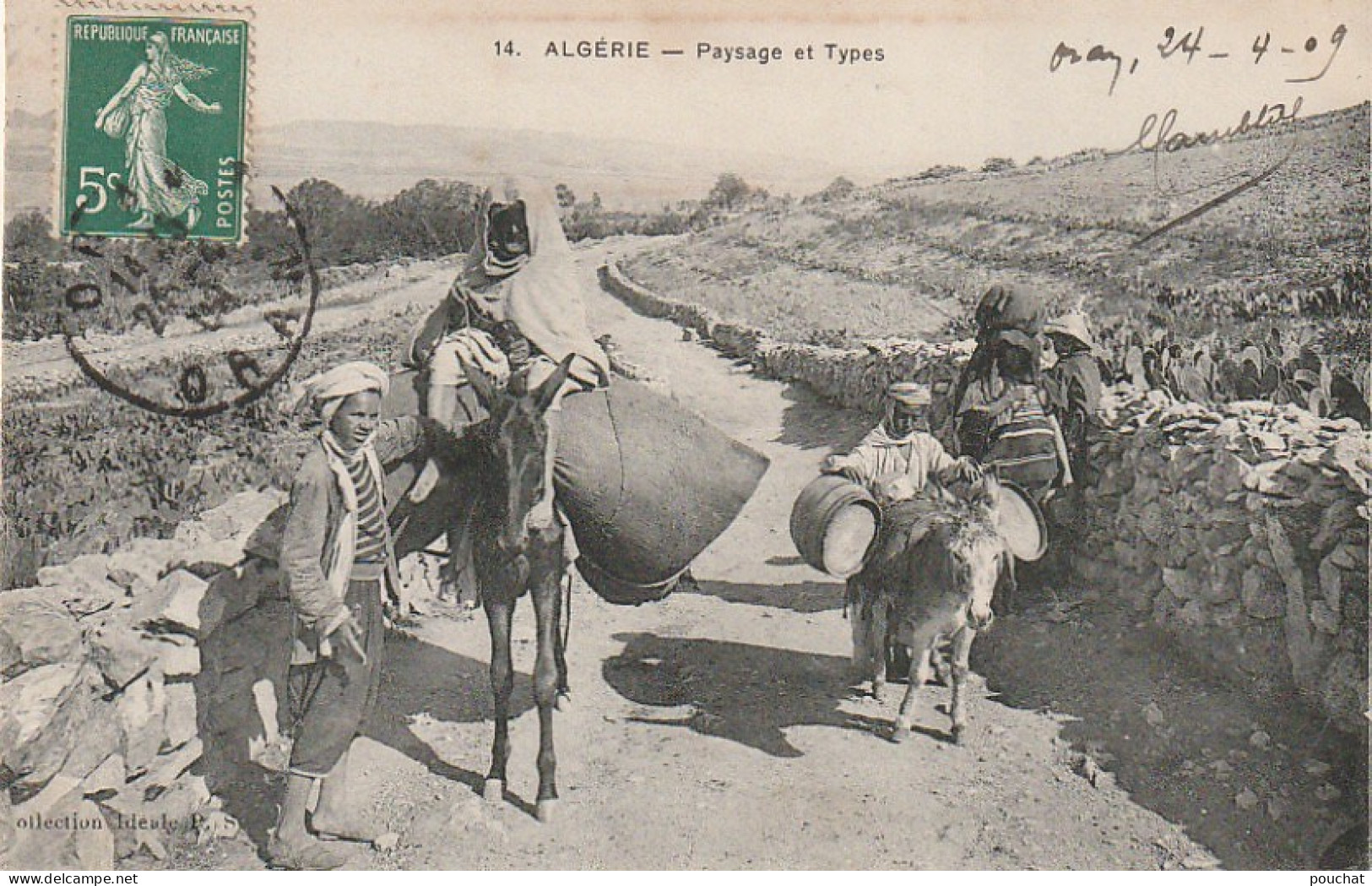 RE 23- (ALGERIE) PAYSAGE ET TYPES - TRANSPORT SUR MULES - 2 SCANS - Escenas & Tipos