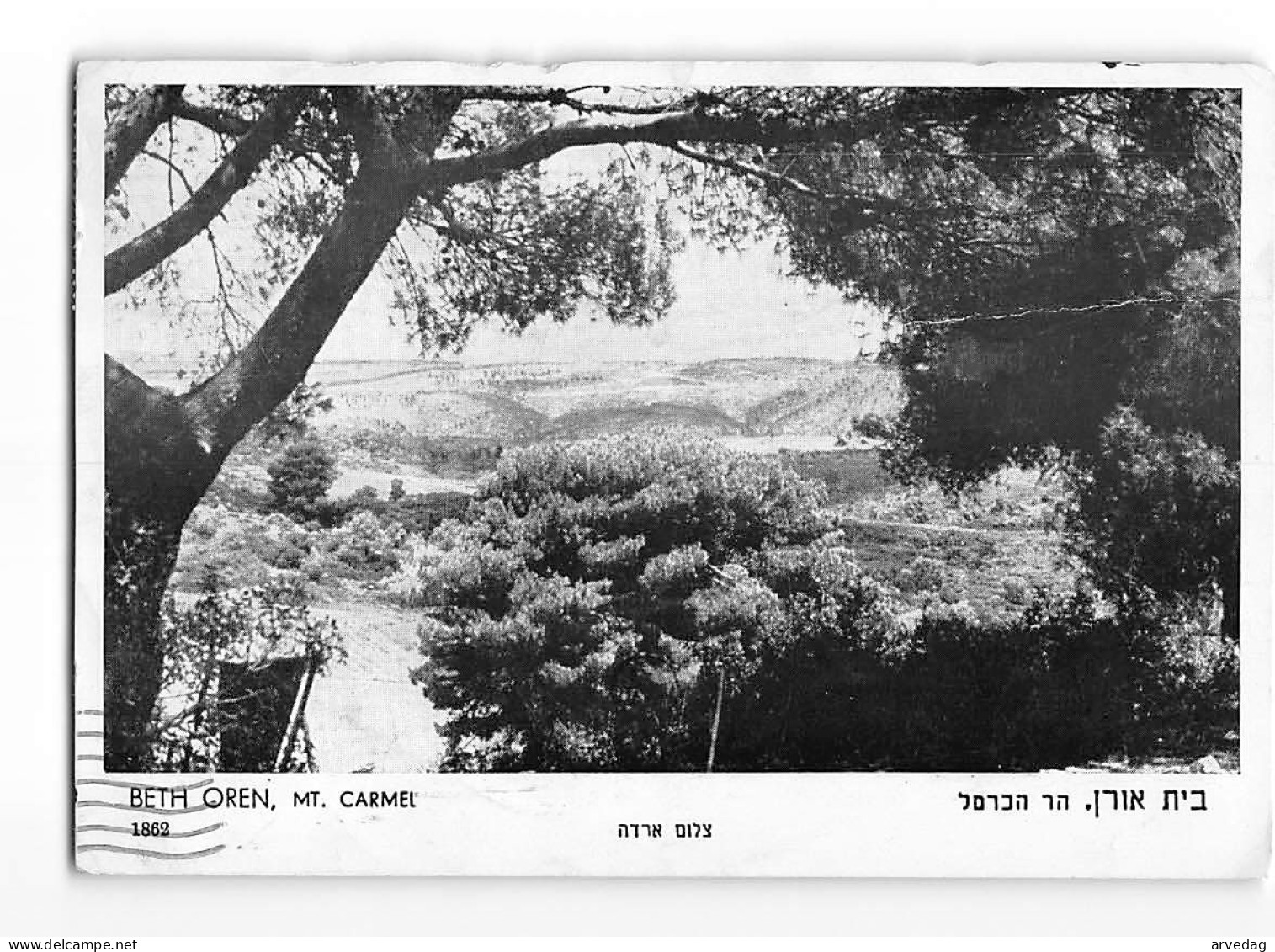 X1584 ISRAEL BETH OREN  - MT. CARMEL - Israel