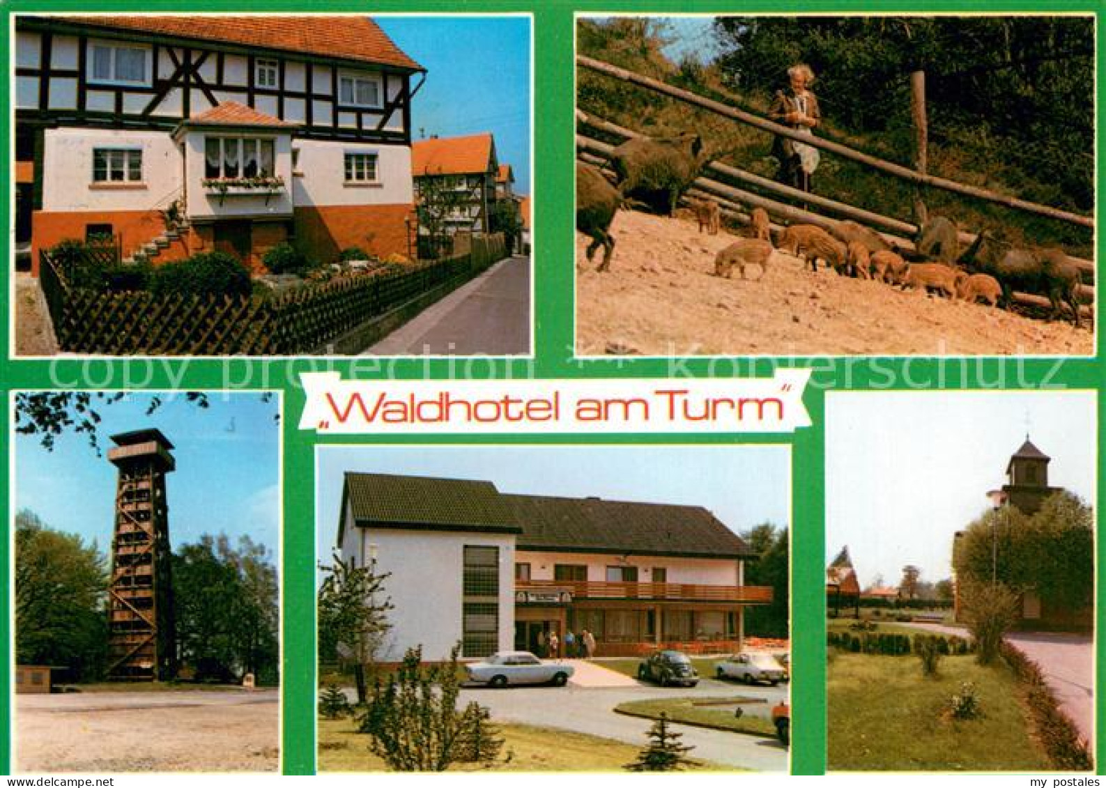 73723389 Burgholz Kirchhain Waldhotel Am Turm Wildgehege Aussichtsturm Burgholz  - Kirchhain