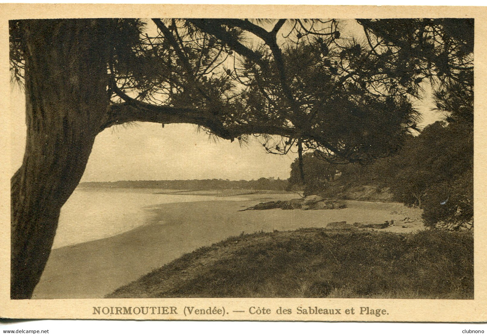 CPA - NOIRMOUTIER -  COTE DES SABLEAUX ET PLAGE - Noirmoutier