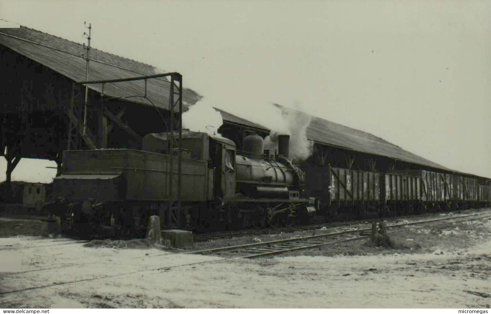 Train En Gare à Identifier - Cliché Jacques H. Renaud - Eisenbahnen