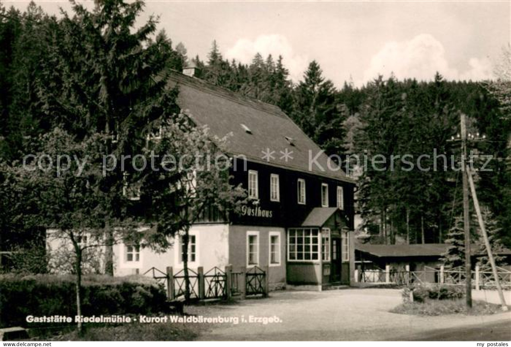 73723356 Waldbaerenburg Gaststaette Riedelmuehle Waldbaerenburg - Altenberg