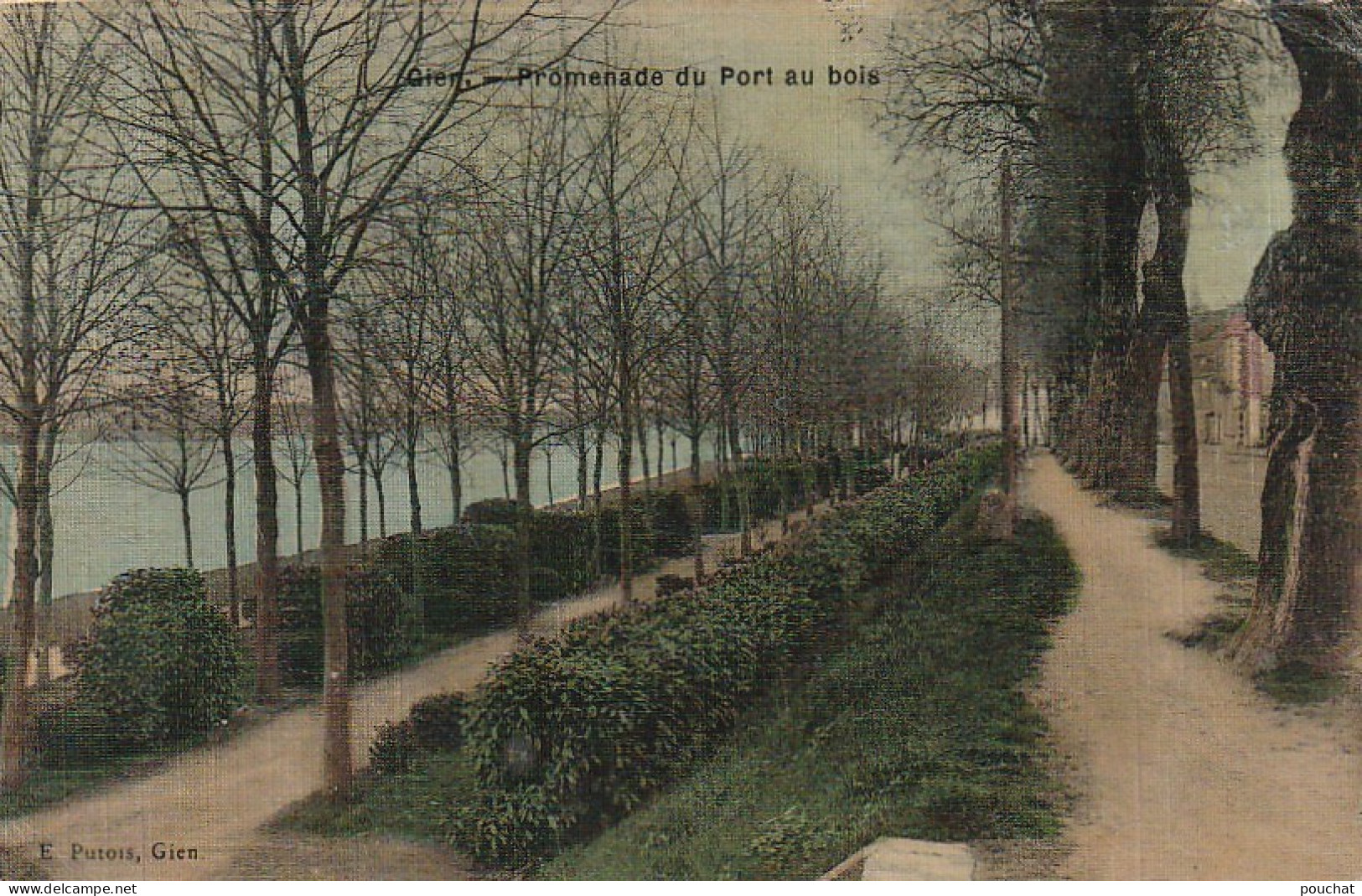 SO 8-(45) GIEN - PROMENADE DU PORT AU BOIS - CARTE COULEURS - 2 SCANS - Gien