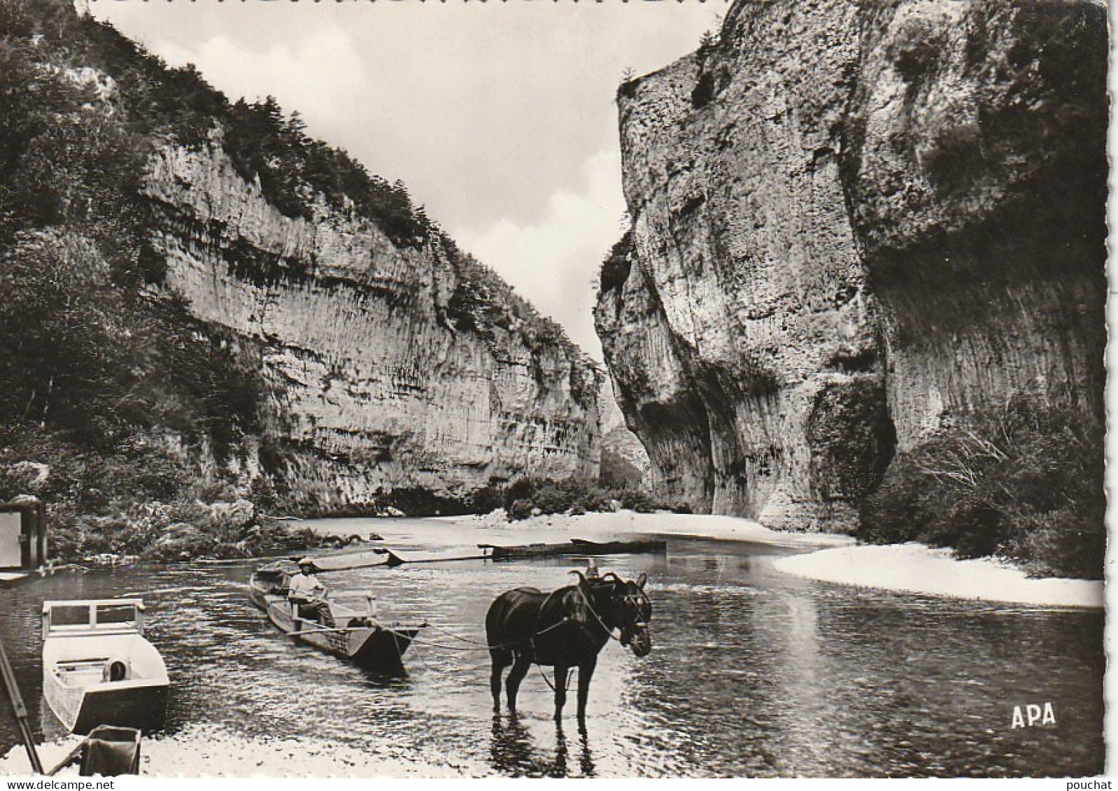 SO 11-(48) " EN PARCOURANT LES GORGES DU TARN " - LES DETROITS - UN TRAIN DE BARQUES - ATTELAGE CHEVAL- 2 SCANS - Gorges Du Tarn