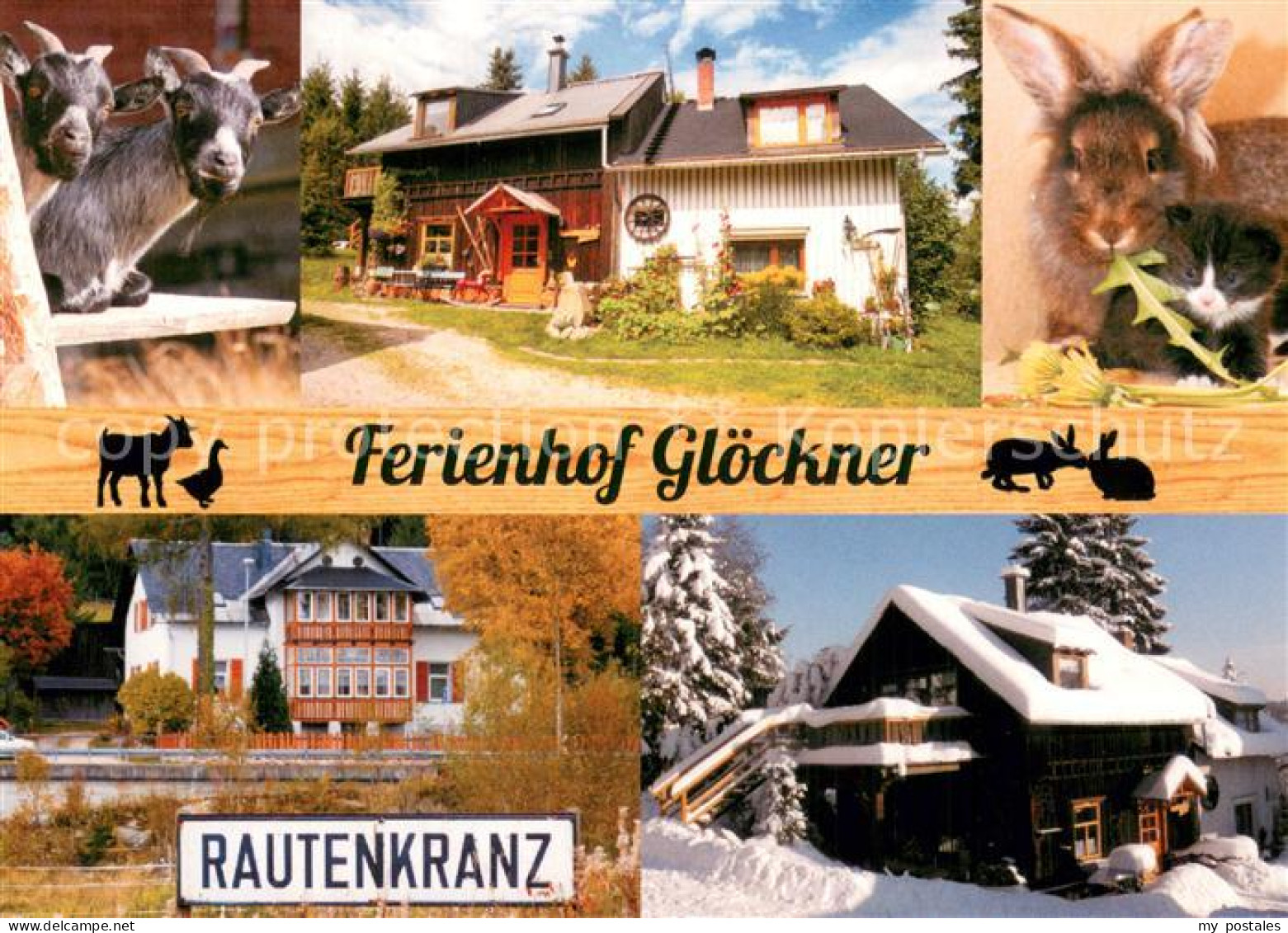 73723194 Rautenkranz Vogtland Ferienhof Gloeckner Ziegen Katzen Winteridyll Raut - Autres & Non Classés