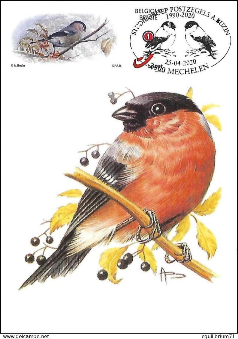 CM/MK° - Bouvreuil Pivoine / Pioen Goudvink / Die Pfingstrose Gimpel - Tirage Orange/Oranje Druk - BUZIN - RRR - 1985-.. Oiseaux (Buzin)