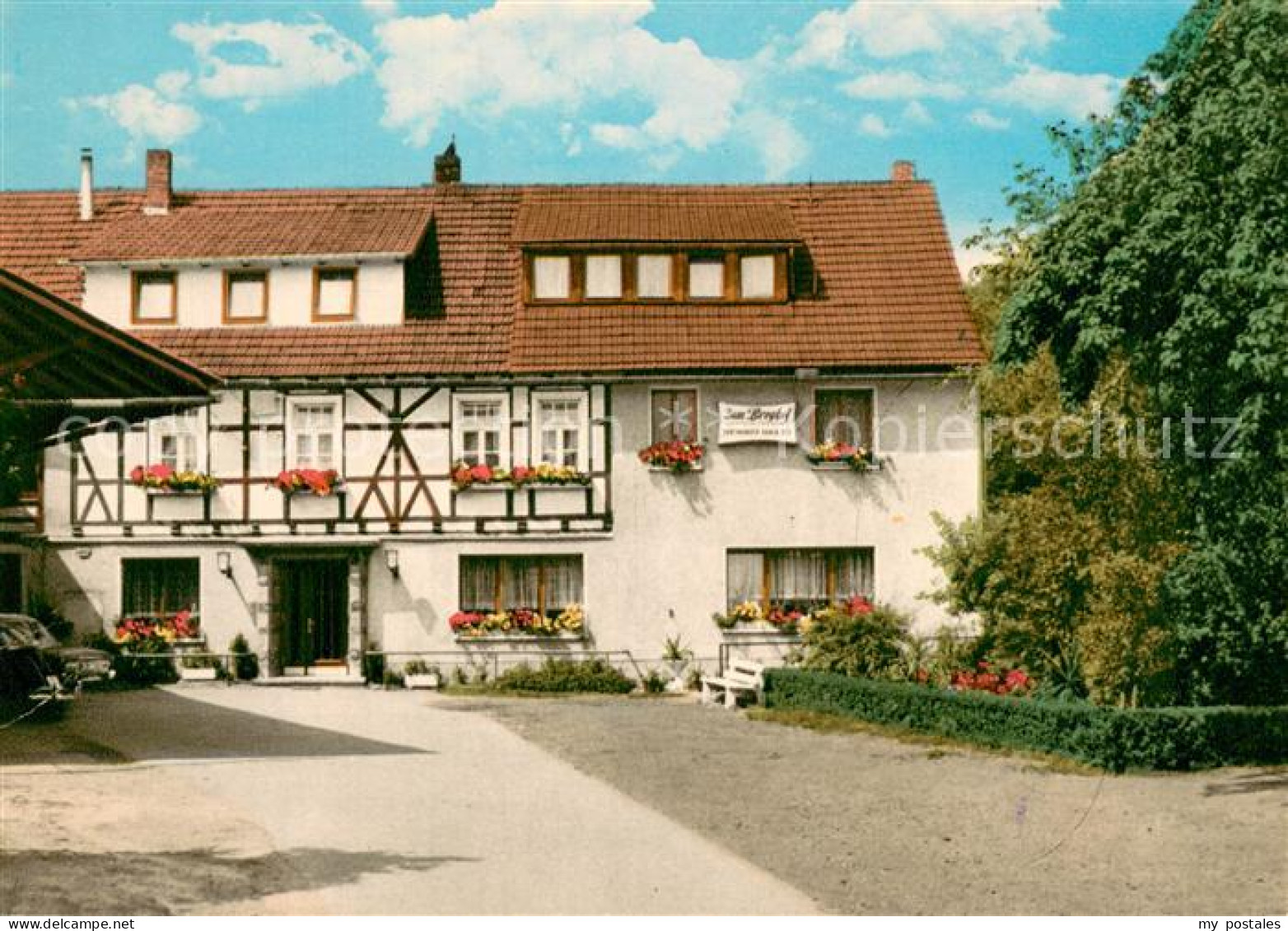 73723166 Rhenegge Gasthaus Pension Zum Berghof Rhenegge - Sonstige & Ohne Zuordnung