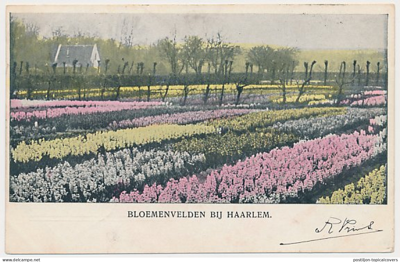Trein Kleinrondstempel Amsterdam - Antwerpen C 1902 - Storia Postale