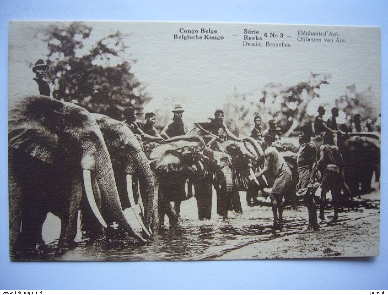 Congo Belge / Éléphants D'Api - Olifanten Van Api - Belgisch-Kongo