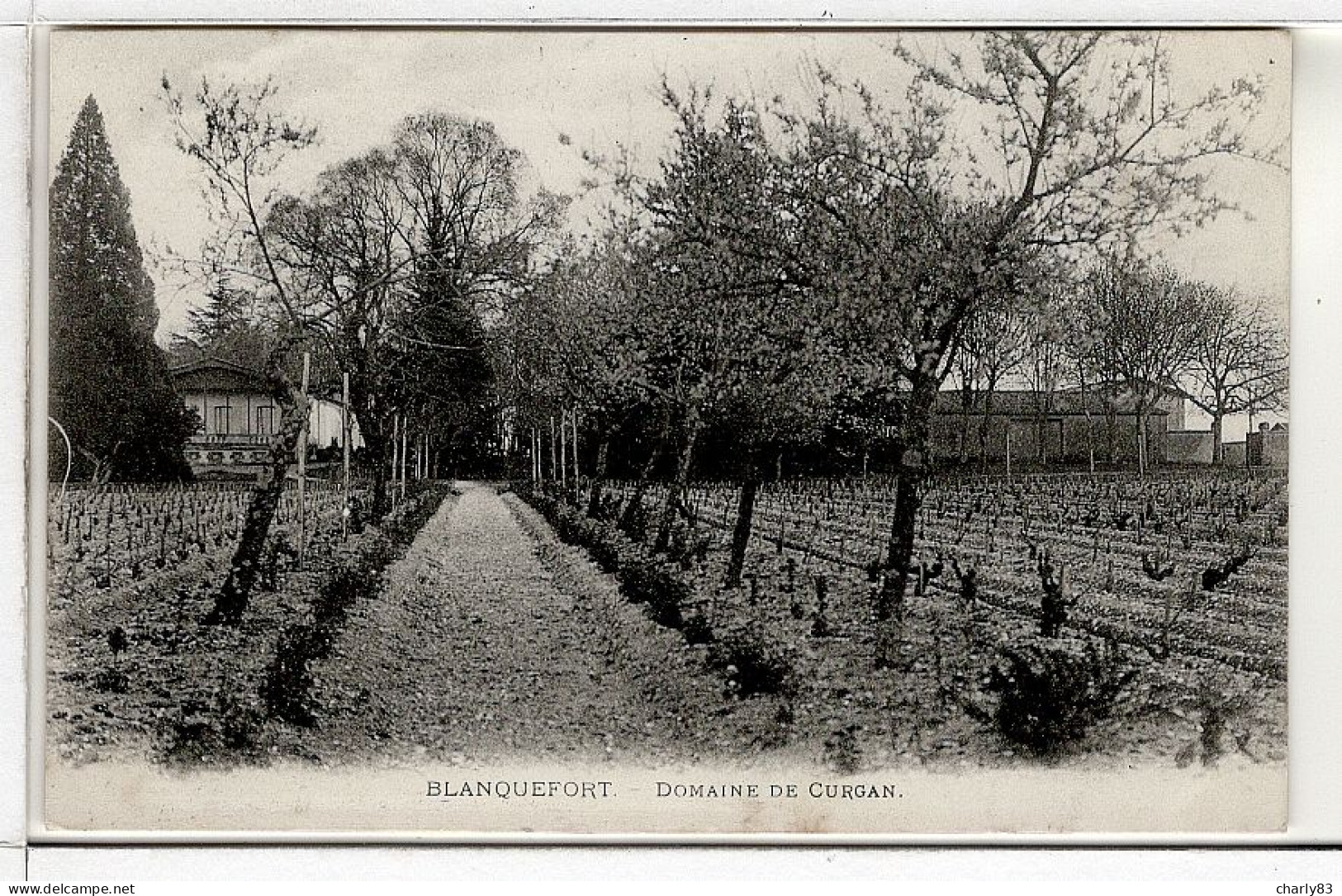 33-BLANQUEPORT-DOMAINE CURGAN REF633 - Blanquefort