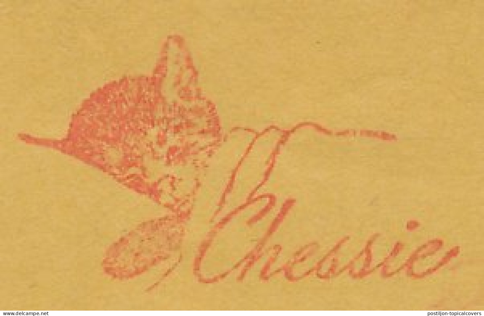Meter Cut USA 1953 Cat - Chessie - Autres & Non Classés