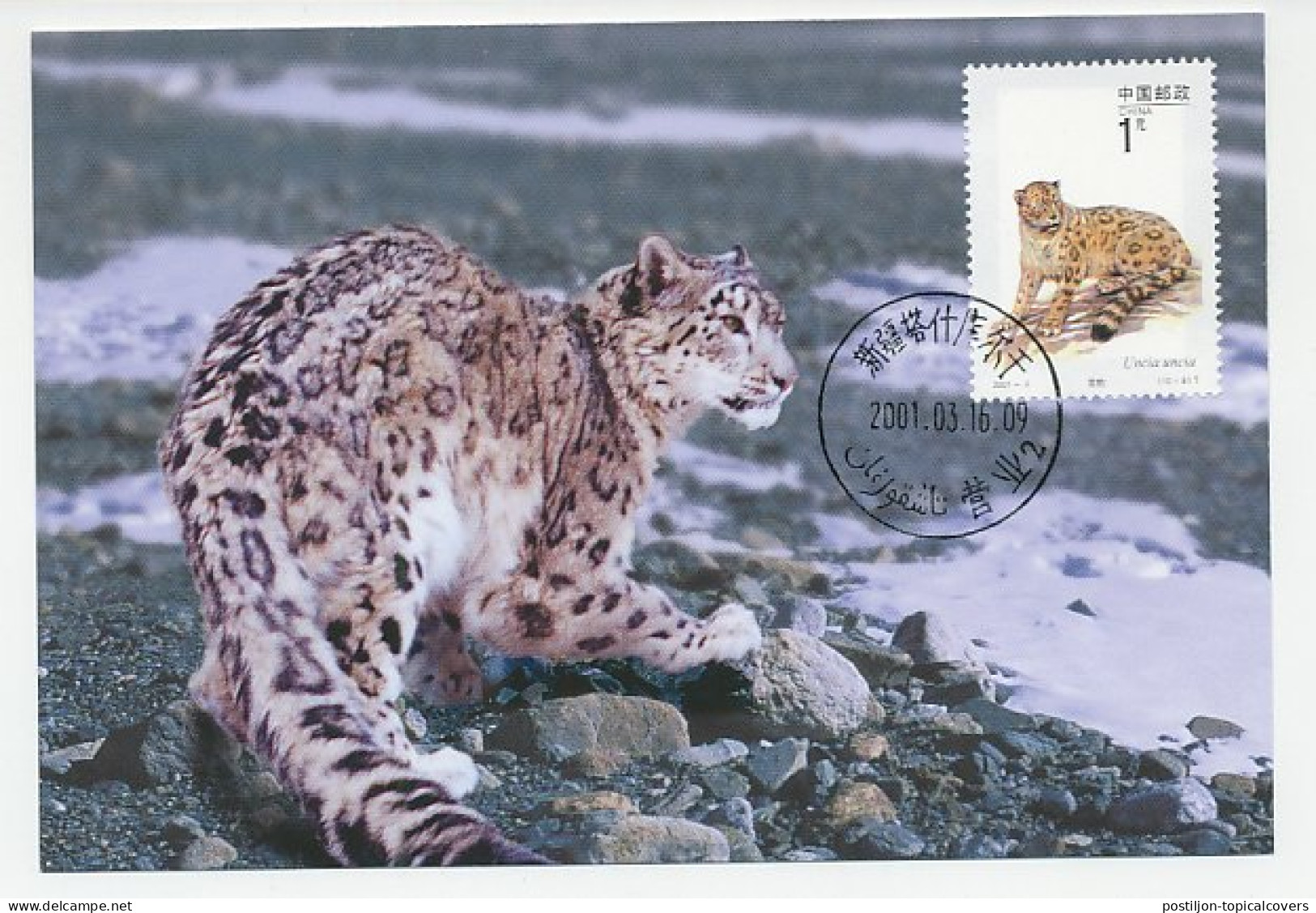 Maximum Card China 2001 Snow Leopard  - Autres & Non Classés