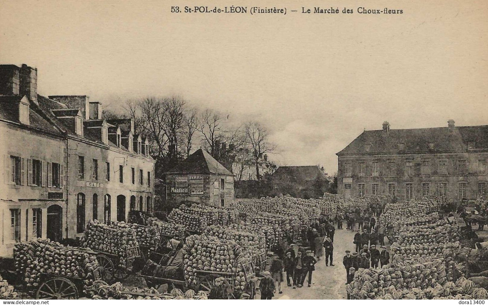 CPA29- SAINT-POL-DE-LEON- Le Marché Aux Choux-Fleurs - Saint-Pol-de-Léon