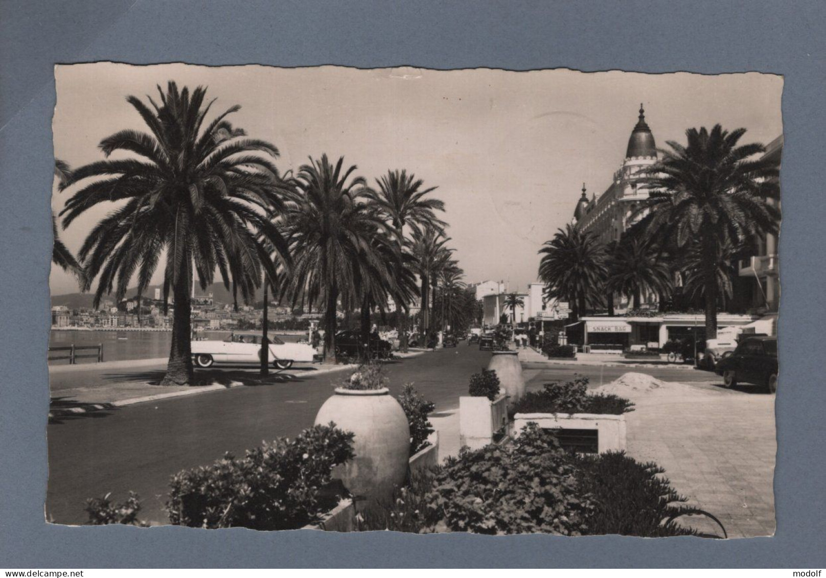 CPSM Dentelée - 06 - Cannes - La Croisette - Circulée En 1959 - Cannes