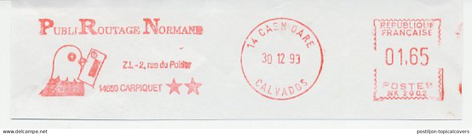 Meter Cut France 1993 Pigeon Post - Mail - Andere & Zonder Classificatie