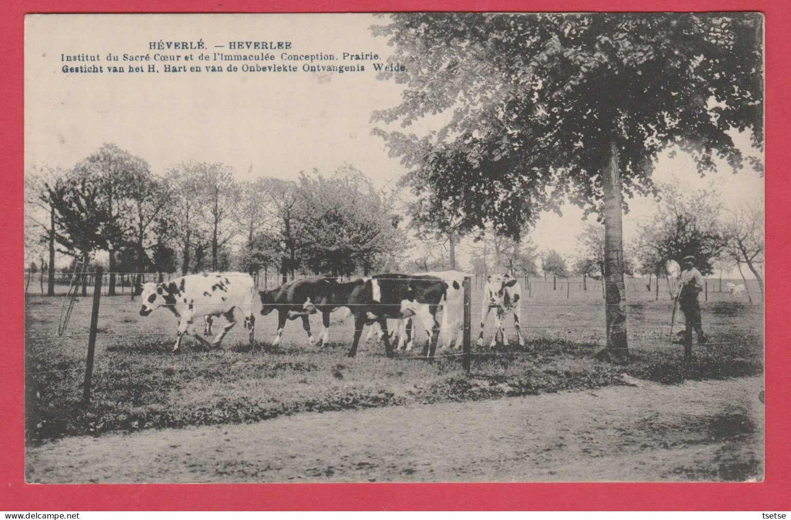 Héverlé - Gesticht Van Het H. Hart - Weide ( Verso Zien ) - Leuven