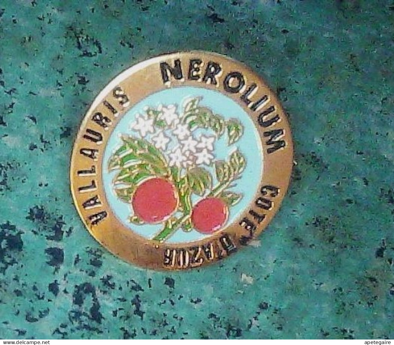 Pin's Avec Fermoir Valauris Nerolium Cote D'Azur - Verenigingen