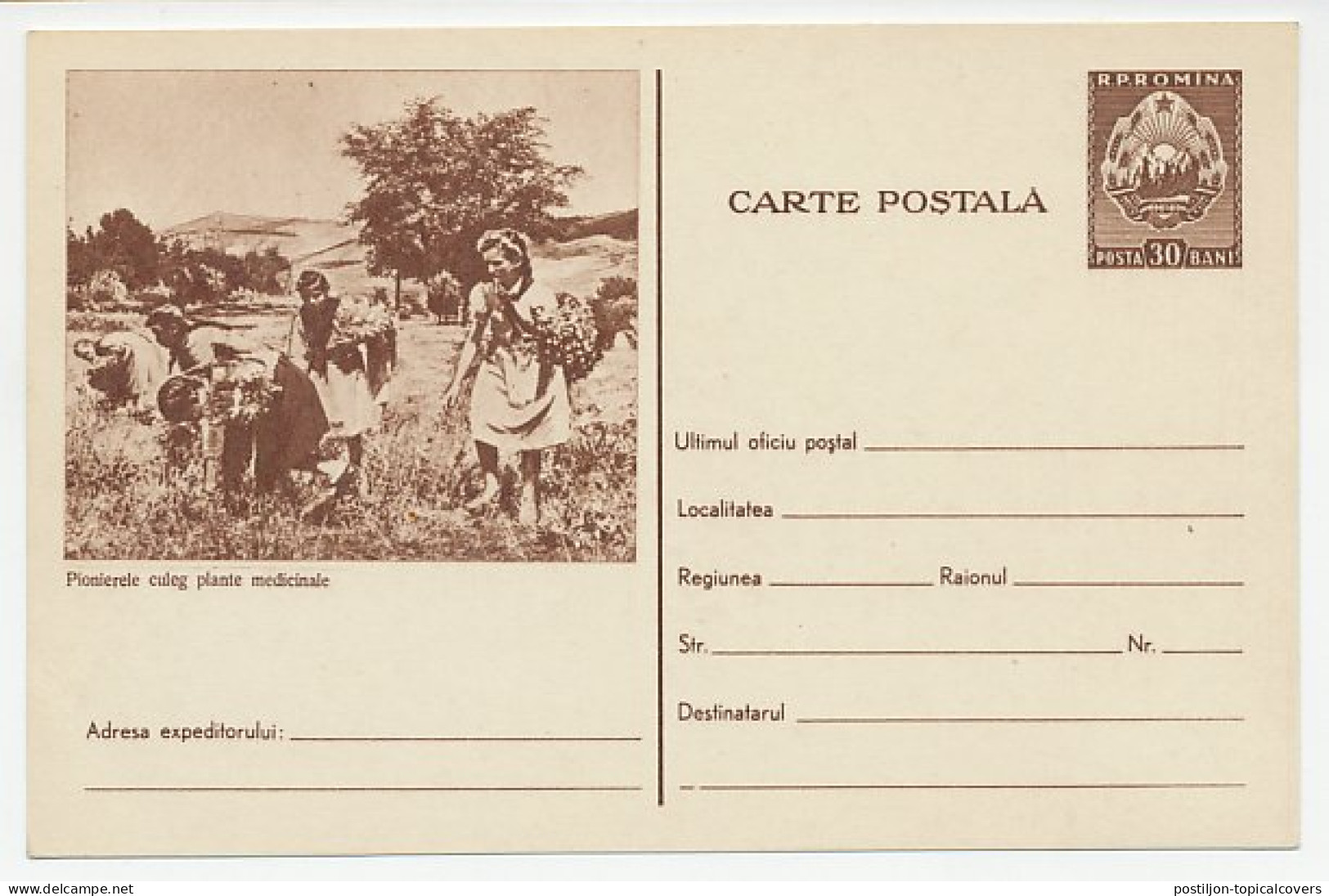 Postal Stationery Romania Picking Medicinal Plants - Altri & Non Classificati