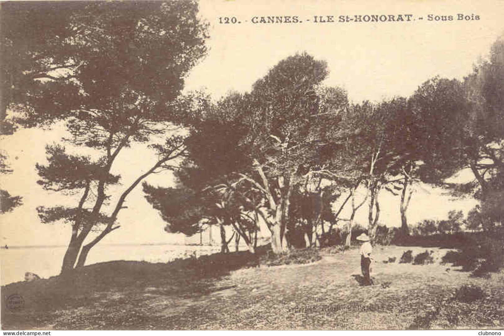 CPA - CANNES - ILE ST HONORAT - SOUS-BOIS - Cannes