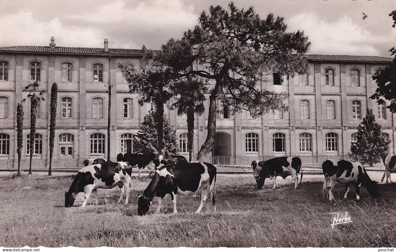 RE Nw4-(31) ONDES , PRES GRENADE SUR GARONNE - L'ECOLE D'AGRICULTURE - TROUPEAU DE VACHES - Autres & Non Classés