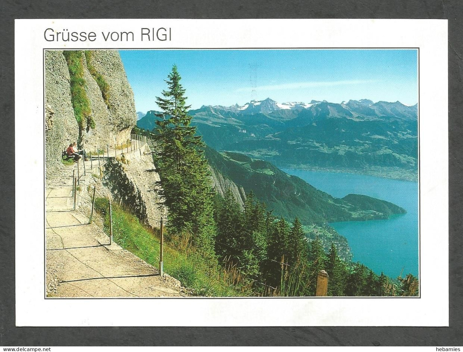 RIGI - SCHWYZ - SWITZERLAND - - Sonstige & Ohne Zuordnung