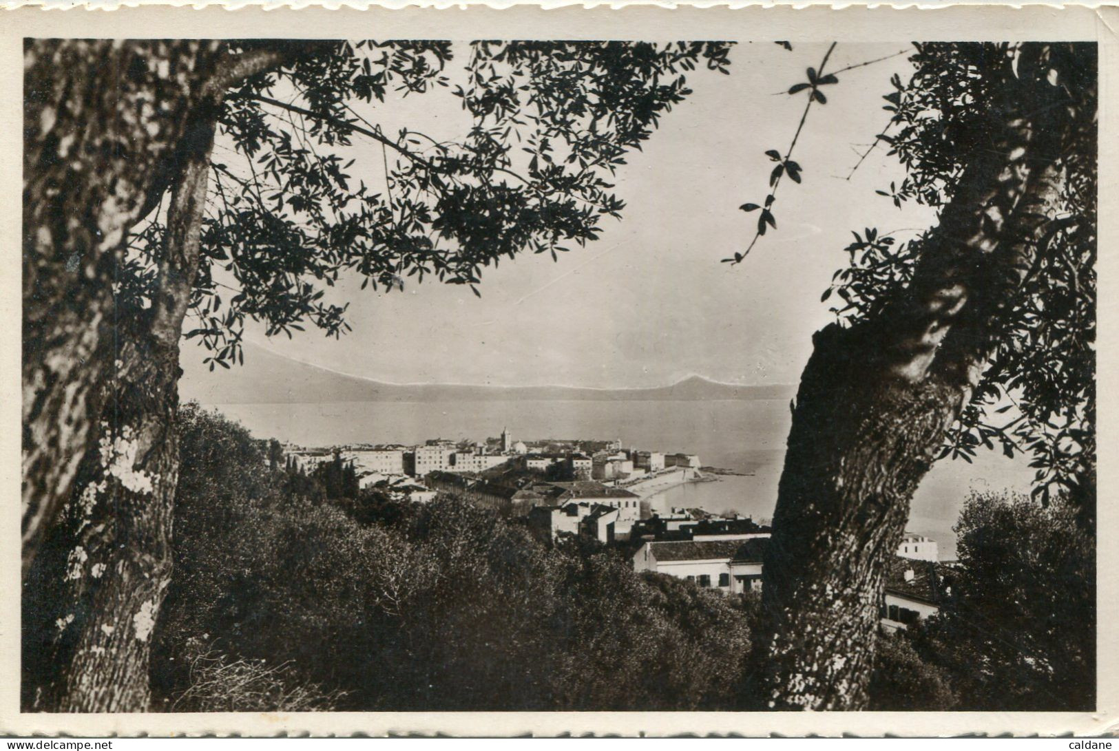 -2A- CORSE - AJACCIO - Vue Sur La Ville - Ajaccio