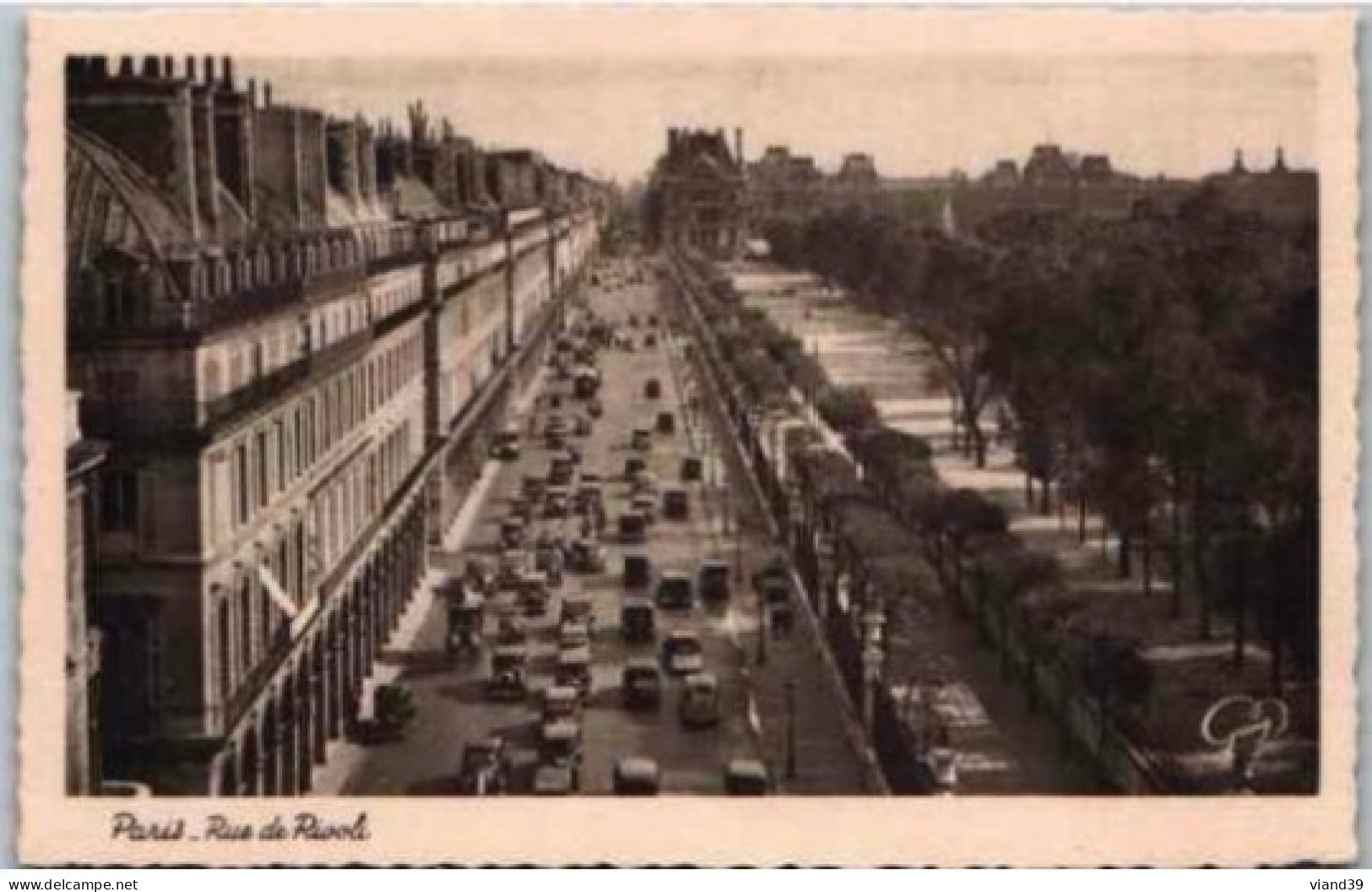 PARIS. - Rue De Rivoli. Et Les Tuileries     Non Circulée - District 04