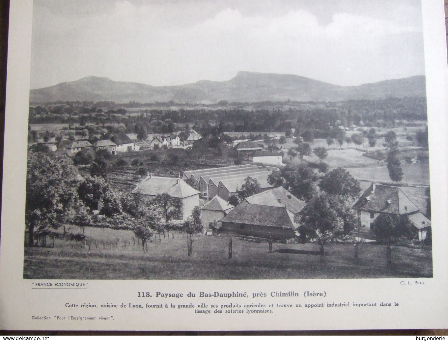 PAYSAGE DU BAS -DAUPHINE PRES CHIMILIN (ISERE) - Géographie