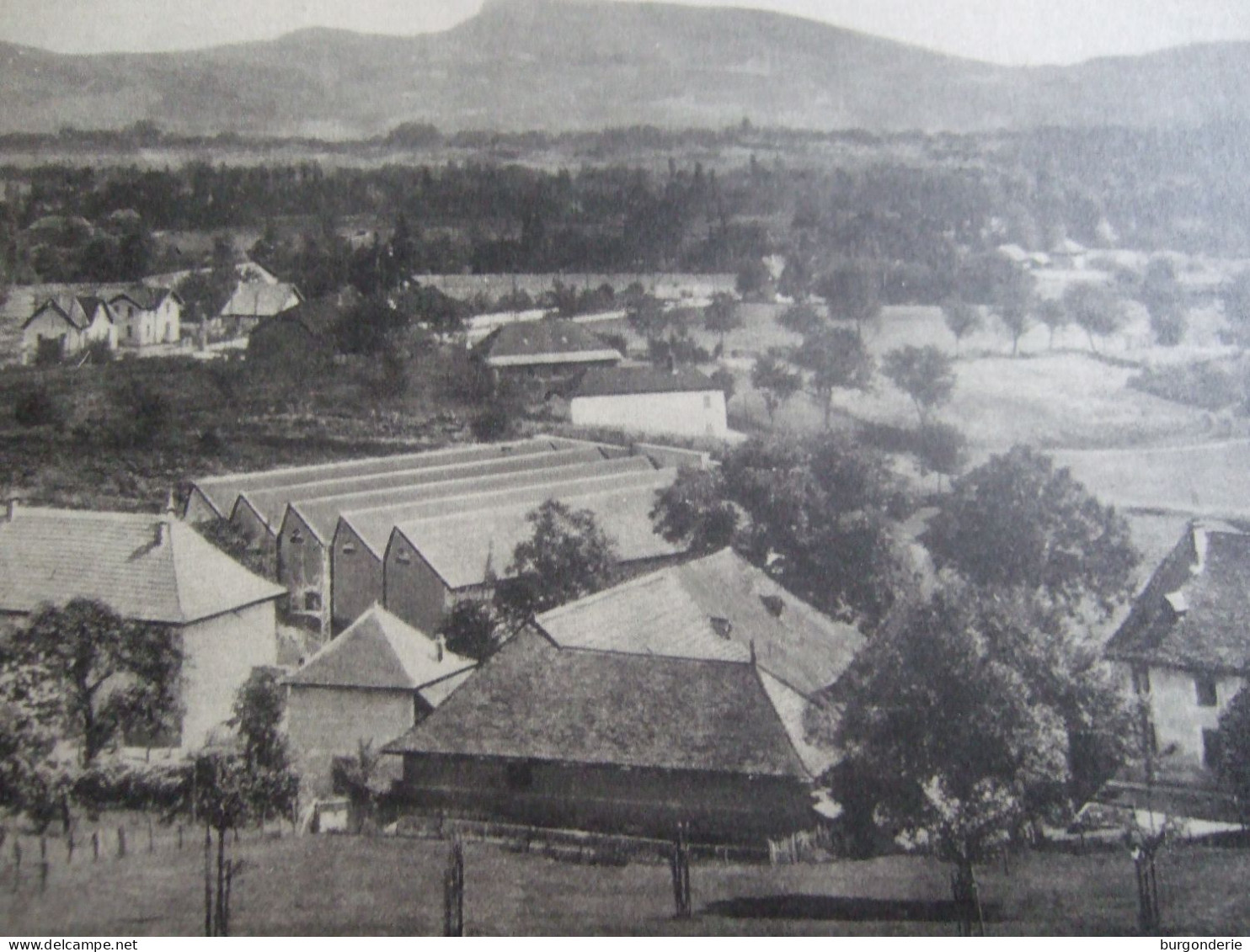 PAYSAGE DU BAS -DAUPHINE PRES CHIMILIN (ISERE) - Géographie