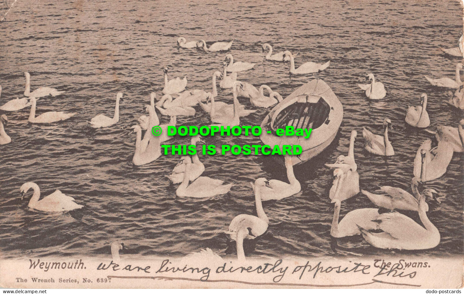 R550204 Weymouth. Wrench Series No. 6397. Swans. 1906 - World